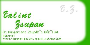 balint zsupan business card